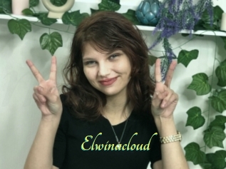 Elwinacloud