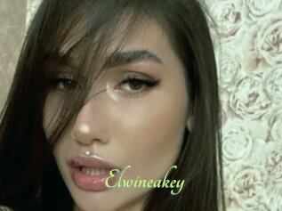 Elwineakey