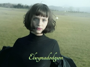 Elwynadodgson
