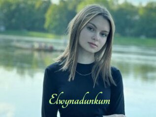 Elwynadunkum