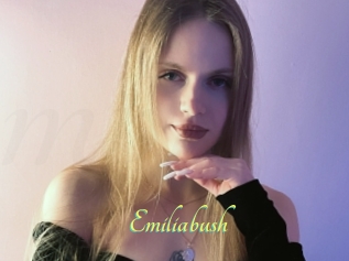 Emiliabush