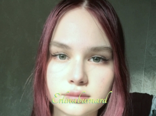 Erlinaburnard