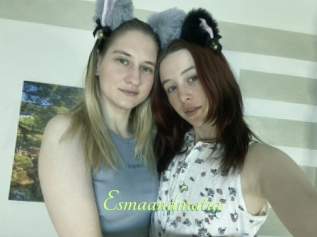 Esmaandmatia