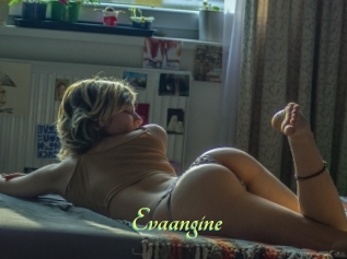 Evaangine