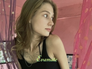 Evamate