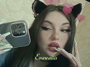 Evawallis