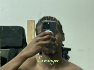 Exesinyer