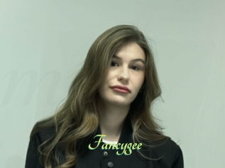 Fancygee