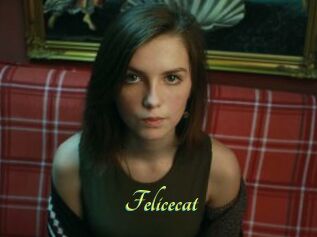 Felicecat
