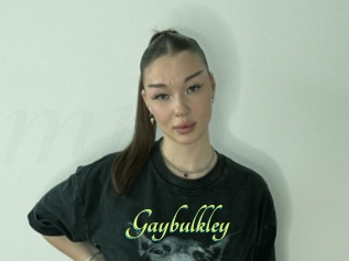 Gaybulkley