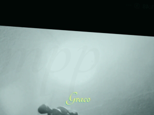Graco