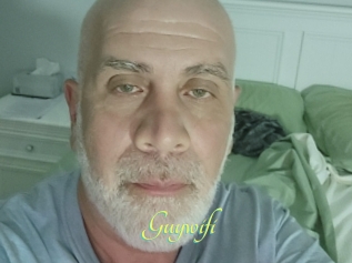 Guywifi