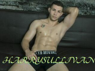HARRYSULLIVAN