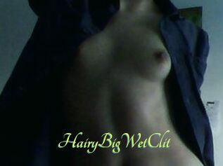 HairyBigWetClit