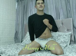 Harvey_Millk