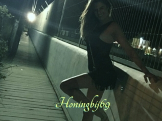 Honingbij69