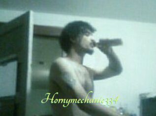 Hornymechanic334