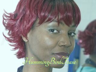 HummingBirdTease