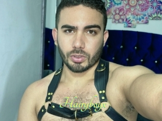 Hairyboyx
