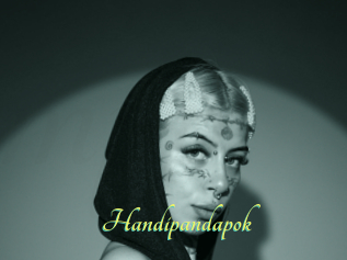 Handipandapok