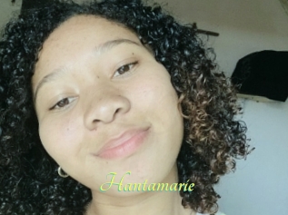 Hantamarie