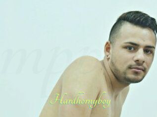 Hardhornyboy