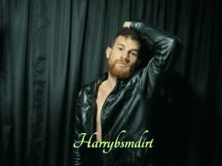 Harrybsmdirt