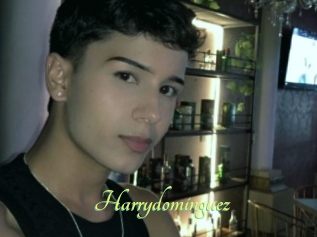 Harrydominguez