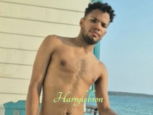 Harrylebron