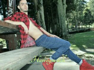 Harveyswitch