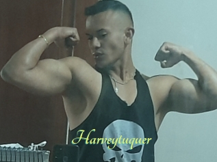 Harveytuquer