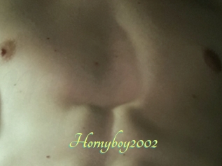 Hornyboy2002