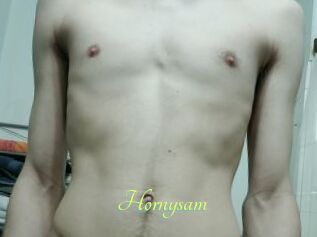 Hornysam
