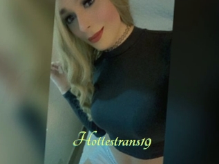 Hottestrans19