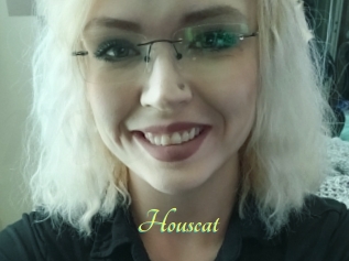 Houscat