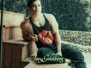 JoeyGoldberg