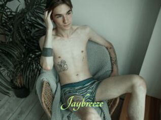 Jaybreeze