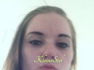 KleineStel