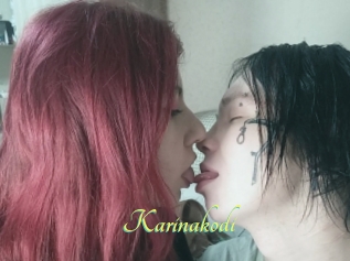 Karinakodi