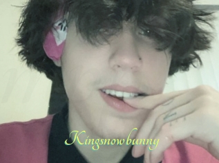 Kingsnowbunny