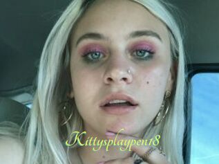 Kittysplaypen18
