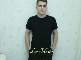 LeoHosin