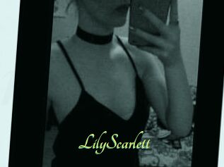 Lily_Scarlett