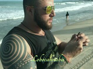 Lobocannabis