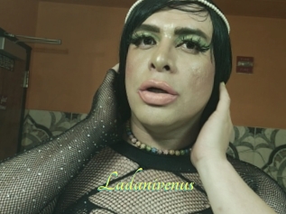 Ladanivenus