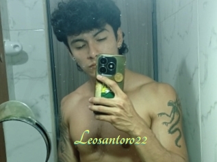 Leosantoro22
