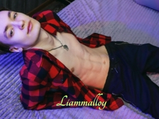 Liammalloy