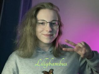 Lillybambus