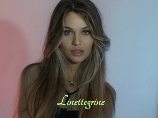 Linettegrine