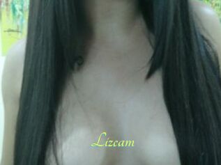 Lizcam